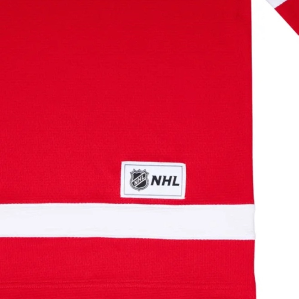 Detroit Red Wings NHL Licensed Embroidered Hockey Jerseys New with Tags - Picture 2 of 8